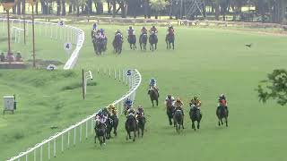 NATURAL GOLD with Aman up wins The Red Rufus Plate Div1 2024 RACE NO 39 [upl. by Aihsemot]