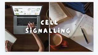 Cell Signalling Key Pathways Mechanisms and function study notes [upl. by Bara]