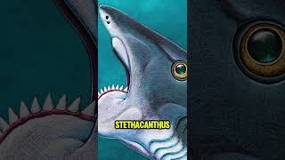 MEGA SHARKS Ruled the Ocean Before Megalodon [upl. by Dnalel]