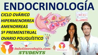 ENDOCRINOLOGÍA AulaGinecología  STUDENTS CICLO OVÁRICO OVARIO POLIQUÍSTICO AMENORREAS [upl. by Hernando]