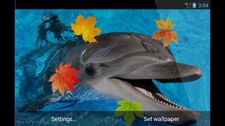 Dolphin 3D Live Wallpaper [upl. by Koa]