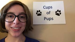 Cups of Pups A Sketch Inspired by SNLs quotWhiskers R Wequot [upl. by Eelra599]