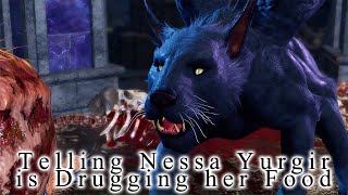 Licking the Spider SOLVED  Telling Nessa Yurgir is Drugging Her for Love  Baldurs Gate 3 [upl. by Waldman]