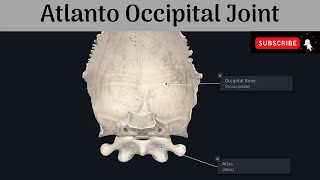 Atlanto Occipital Joint  Type  Articular Surfaces  Ligaments  Movements  Muscles [upl. by Dubenko275]