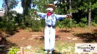 How To Make a Scarecrow [upl. by Enilrem]