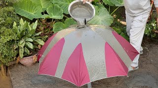 Small Garden Ideas from Umbrellas and Cement  Cement craft ideas for Garden [upl. by Pompea]