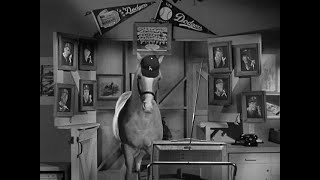 Mister Ed s04e01 Leo Durocher Meets Mister Ed clip [upl. by Ecineg]