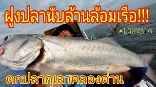 ฝูงปลานับล้านล้อมเรือ ตกปลากุเลา คลองด่าน ตกปลาทะเล 2 ชั่วโมงรู้เรื่อง LGFT316 [upl. by Tireb228]