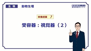 【高校生物】 動物生理7 受容器：視覚器（２）（２５分） [upl. by Wsan]