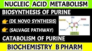 Biosynthesis of purine nucleotides De novo synthesis and salvage pathway Catabolism of purine [upl. by Euqinahs]