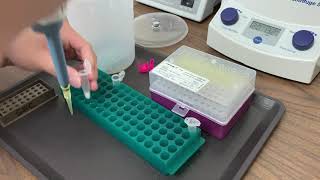 Lab Demo Cheek Cell DNA Extraction for mtDNA PCR [upl. by John]