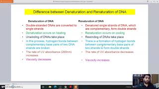 Denaturation vs Renaturation [upl. by Spatola]