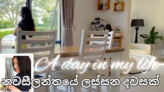 නවසීලන්තයේ ලස්සන දවසක්😍  සිංහල VLOG 55  New Zealand  Sri Lankan  Sinhala vlog [upl. by Atsyrhc]