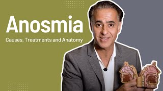 Anosmia and Loss of Smell Causes Treatments and Nose Anatomy [upl. by Yknip]