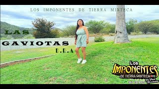 Las gaviotas video 2024LOS IMPONENTES DE TIERRA MIXTECA [upl. by Gery]