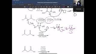 Malonic Ester and Acetoacetic Ester Synthesis [upl. by Nothgiel]