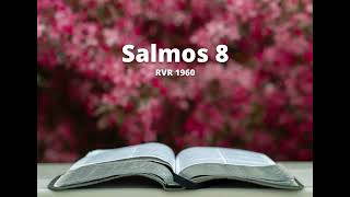 Salmos 8  Reina Valera 1960 Biblia en audio [upl. by Hampton]