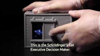 Schrödingers Cat Executive Decision Maker from ThinkGeek [upl. by Mariska]