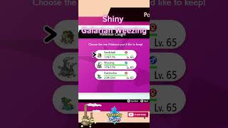 SHINY GALARIAN WEEZING shorts shinypokemonhunter pokemonswordshield shinypokemonpokemon [upl. by Miharbi]