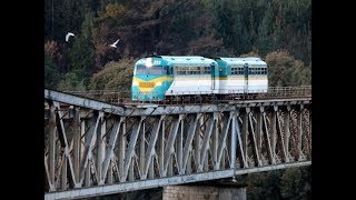 Buscarril en Puente Banco Arenas  Constitución Chile 01Oct2017 HD [upl. by Filemon]