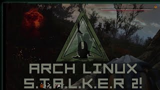 Linux plays STALKER 2 BEAUTIFULLY  RTX 4090 24GB  EPIC [upl. by Adnilreh193]