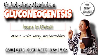 Carbohydrate Metabolism GLUCONEOGENESIS  Glucose Synthesis Pathway  Function  Biochemistry [upl. by Adnalahs20]