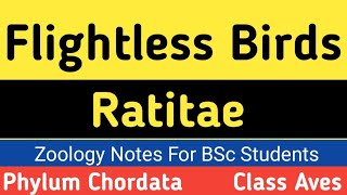 Flightless Birds  Ratitae  Aves  Zoology  BSc Lecture by Rehan Khan Sir [upl. by Elleirbag]