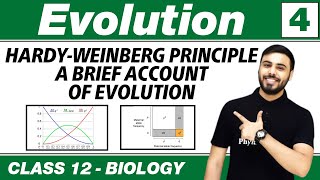 Evolution 04  HardyWeinberg Principle  A Brief Account of Evolution  Class 12 NCERT [upl. by Akineg315]