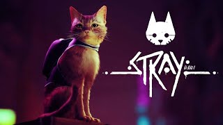 Stray Part 3 [upl. by Heddy]