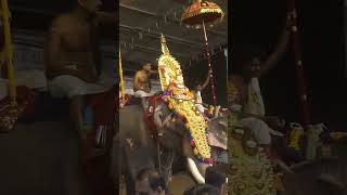 Ettumanoor utsavam 2024 live 2nd day [upl. by Ilecara]