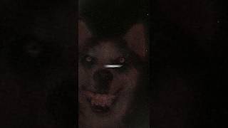 قصة smile dog الحقيقية 😨 [upl. by Adnaerb]