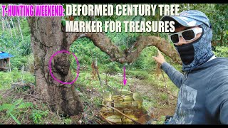 3 DEPOSIT IN DEFORMED CENTURY OLD SANTOL TREE MARKER [upl. by Namsaj]