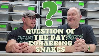 Why has cohabbing snakes become so uncommon [upl. by Himelman]