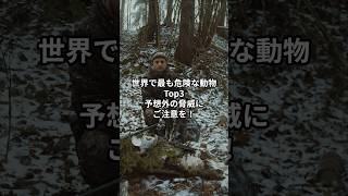 命を狙う！世界で最も危険な動物Top3危険動物 自然の脅威 命を守る [upl. by Redna]