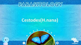 L3 part1  cestodes  Hnana Parasitology [upl. by Anelej]