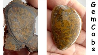 Arizona Orbicular Agate From Slab to Shield Cabochon [upl. by Phail]