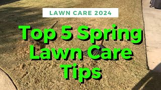 Spring Lawn Care Tips For Bermuda Grass [upl. by Einnek]