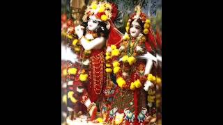 Achutam Keshavam Krishna Damodaram 🥀✨🥰🥰shortvideo [upl. by Ynnam542]