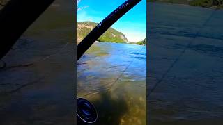 Fishinglife  Laksefiske fishing salmonfishing foryou fish fiske laksefiske foxnfishing [upl. by Maxa]