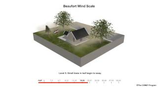 Beaufort Scale Wind Speed Example [upl. by Elsa875]