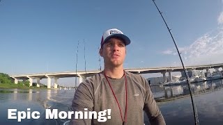 Fishing A Shipwreck off the Florida Gulf Coast  Big Fish [upl. by Akenom757]