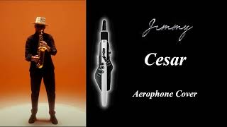 Cesar  Aerophone Cover [upl. by Ayouqes779]