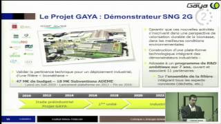 La biomasse comme vecteur énergétique  les différentes voies de valorisation [upl. by Sarah]