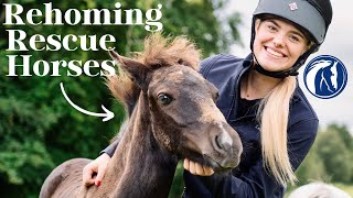 Rehoming Rescue Horses This Esme [upl. by Chrystal]