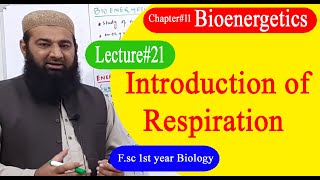 Biology Ch11Lecture21 Introduction to Respiration FSc 1st Year [upl. by Gustaf]