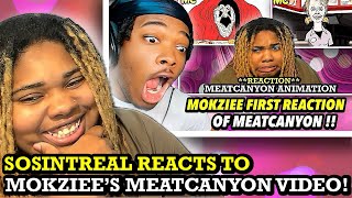 SoSintreal Reacts to Mokziees MEATCANYON Video [upl. by Baillieu161]