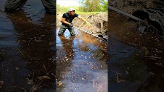 Beaver Dam In The Mouth Of The Culvert  Beaver Dam Removal shorts [upl. by Amorete523]