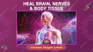 Increase Oxygen Levels  Boost Blood Flow To Heal Brain Nerves amp Body Tissue  Isochronic Tones [upl. by Judus]