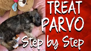 HOW TO CARE FOR YOUR PUPPY WITH PARVO AT HOME  ADMINISTERING IV FLUIDS NUTRICAL  ORGANIC DROPS [upl. by Honniball]