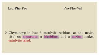 Mechanism of Action of Chymotrypsin [upl. by Klinges]